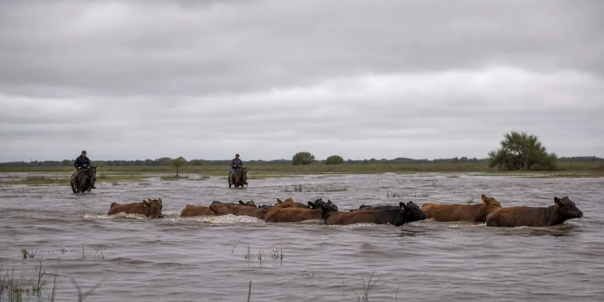 Flooding in Argentina, Paraguay and Uruguay forces thousands from their homes — The Hindu