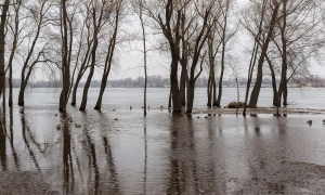 Справа Вербицького: UA.NEWS спрямувало повторний запит до НАБУ через відсутність підозр за два роки слідства