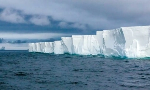 ЄС обговорює санкції проти компанії у Дубаї, яка отримала від рф майже сотню танкерів