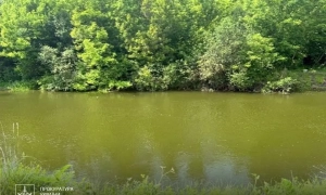 Поліція прокоментувала смерть двоюрідного брата загиблого мера Кривого Рогу