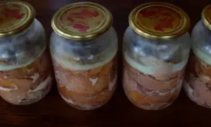 МАУ виплатить сім'ям загиблих пасажирів всі належні компенсації