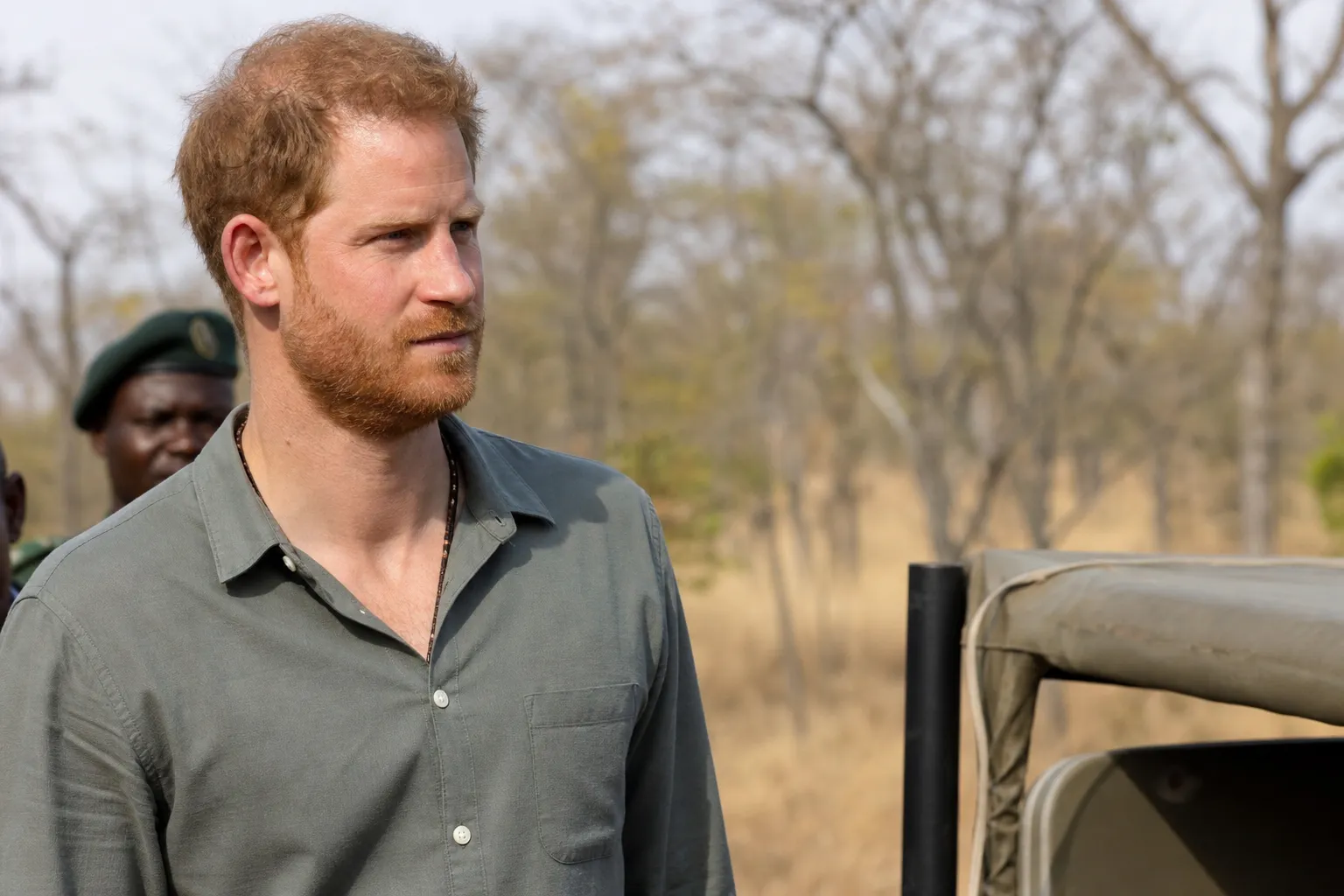 Принц Гаррі вийшов зі складу ради директорів African Parks