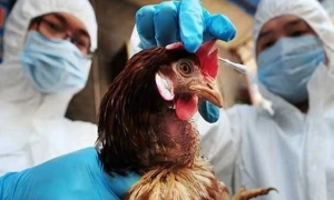 Іспанія відправила Україні судно із вантажем зброї