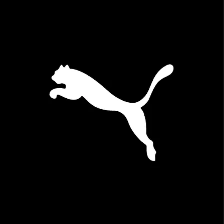 Внаслідок нічної російської атаки знищено логістичний комплекс PUMA