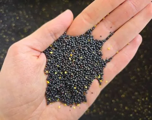 Ukrainian farmers have been hit hard by the drop in rapeseed prices