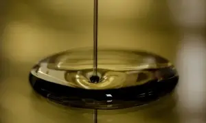 Німеччина закликає ООН втрутитися для захисту Ормузької протоки