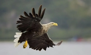Фото: ЗСУ випробували модернізовану версію нового ракетного комплексу