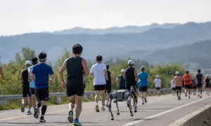 Марсоход Perseverance передал новые фото Красной планеты