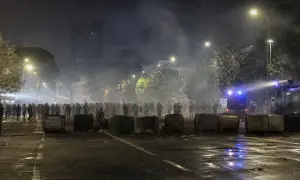 巴西亚马孙地区森林砍伐降至1988年以来最低水平——《卫报》