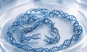 Repetitive sequences make tumor ecDNA vulnerable to breaks — Nature