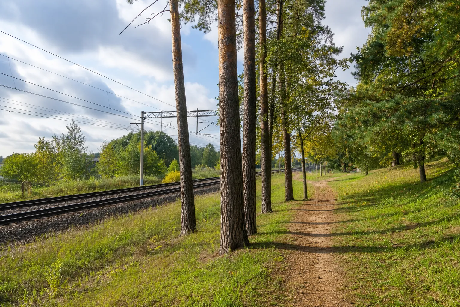 Mieszkańcy Mežaparks w Rydze zaskarżają wycinkę 87 drzew pod trasę rowerową — LSM English