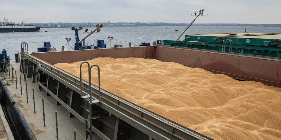 Russia has sharply reduced its wheat exports via the Black Sea