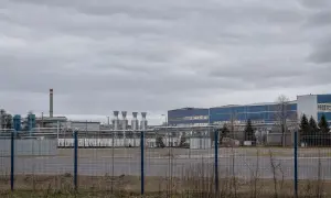 Одногруппник Путина стал главным поставщиком продуктов питания для московских школ