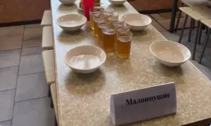 На Миколаївщині через атаки РФ пошкоджено 15 будинків та три авто