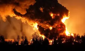 Турция поддержала мирный план Зеленского