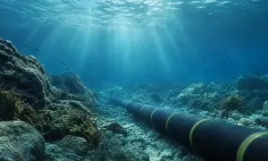 В Нью-Йорке произошел пожар в многоэтажке, более 20 пострадавших