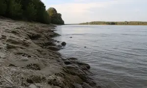 Папа Римский процитировал Путина вместо Меркель