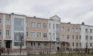Совбез ООН отказался созвать заседание по требованию РФ из-за украинского «языкового закона»