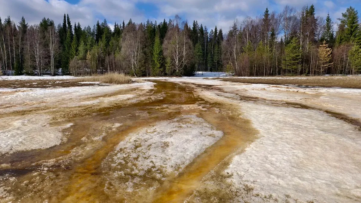 In Siberia, temperatures rose to a record 35 °C