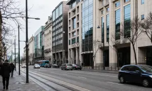 W Wiktorii rozpoczęto szczepienia pingwinów w związku z rozprzestrzenianiem się ptasiej grypy