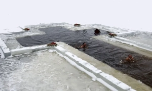 У Києві засудили суддю, яка вчинила п’яну ДТП на Оболоні