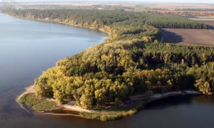 Фото: на Чернігівщині ЗСУ розбили колону російської бронетехніки