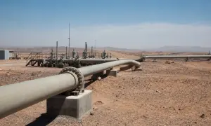 У Данії почали зберігати CO2 під дном Північного моря — The Hindu