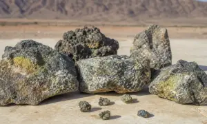 Uniper продаст 20% OPAL для выполнения условий ЕС по госпомощи