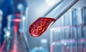 Учёные поставили под сомнение представления о ДНК плода — News-Medical