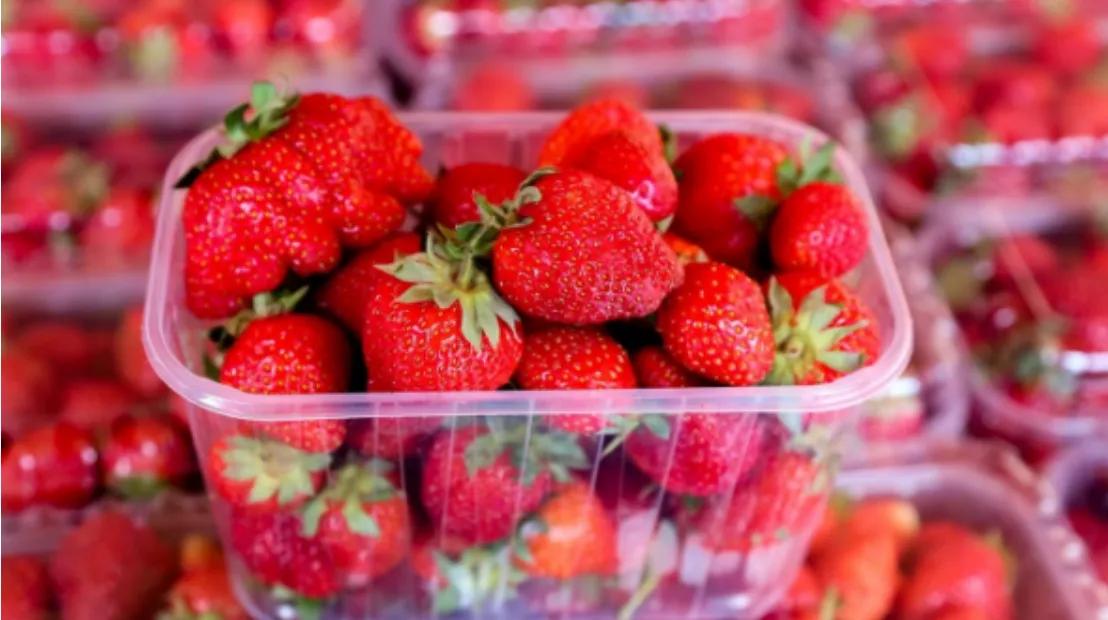 В Україні набуває чинності закон про безпечність харчової упаковки за євростандартами В Україні набуває чинності закон про безпечність харчової упаковки за євростандартами