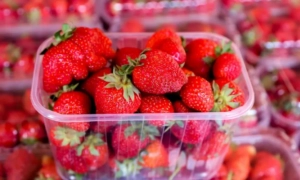 Відома авіакомпанія скасувала міжнародні та внутрішні рейси по Україні