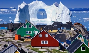 У Нідерландах в лікарні працевлаштували штучний інтелект