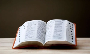 У Чехії у відставку йде проукраїнський уряд Петра Фіали