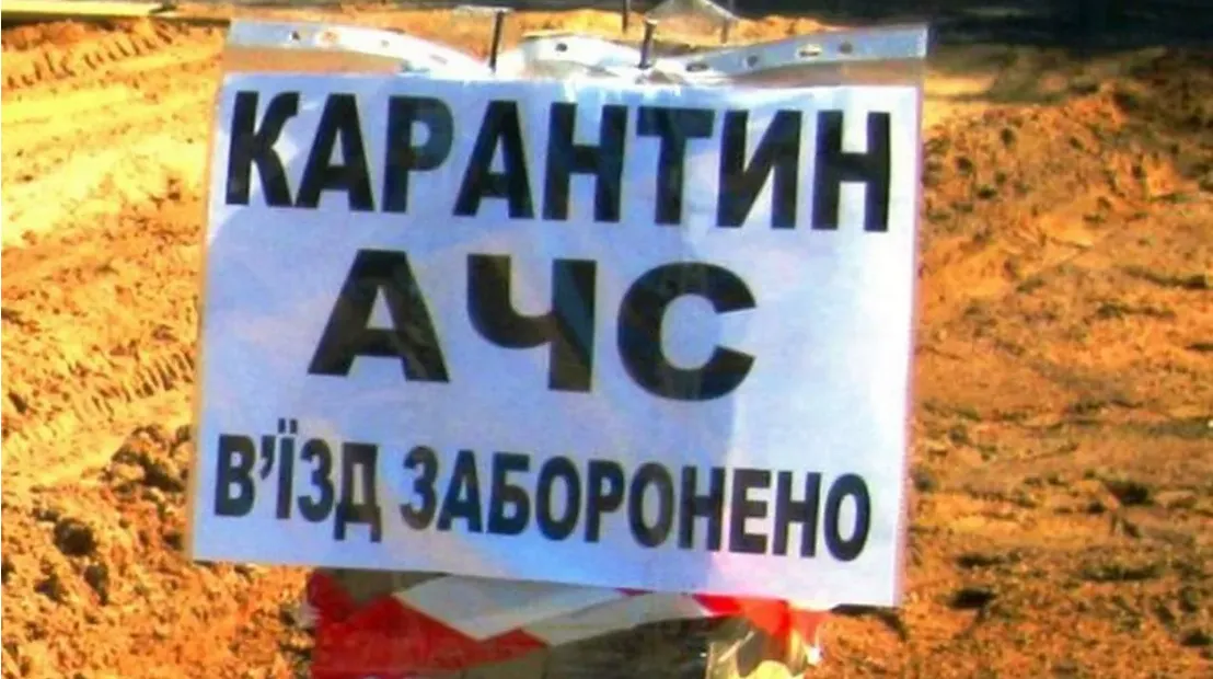 На Львівщині виник скандал через масовий відстріл вовків, лисиць та єнотовидних собак