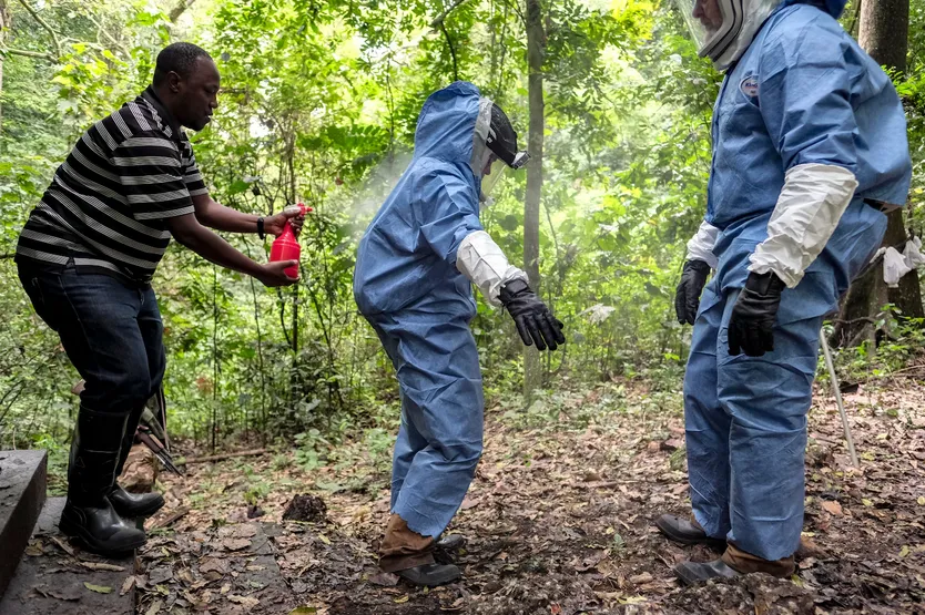 В Африці стався спалах смертельного вірусу, від якого немає вакцини