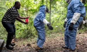 Німеччина передасть Україні кілька сотень автомобілів для патрулювання кордону