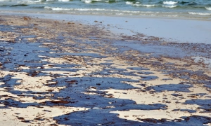 У Румунії зафіксований землетрус, який відчули і в Україні