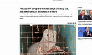 США збільшують кількість доз вакцини проти віспи мавп на тлі зростання хвороби