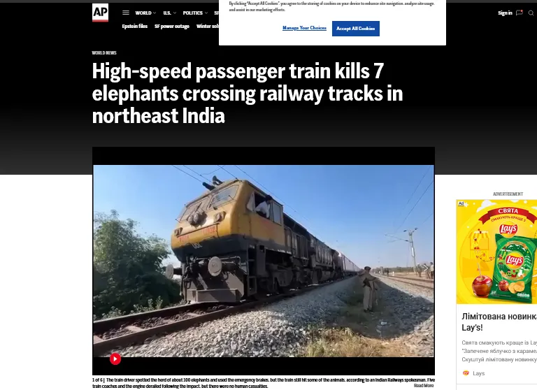 В Індії швидкісний поїзд збив 7 слонів, які переходили колії