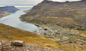 Німеччина знову перешкоджає ухваленню нового пакету санкцій ЄС проти рф – Reuters