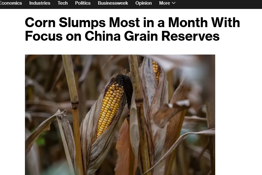 У світі впали ціни на головну українську експортну культуру