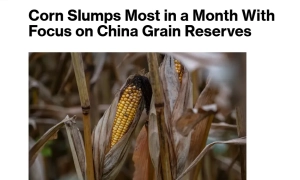 Київський суд зняв з розгляду справу Суркісів та «Приватбанку»