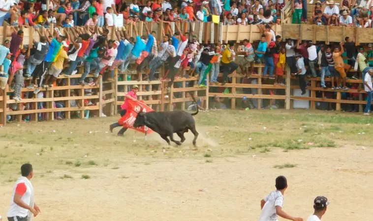 Відео: У Колумбії бик заколов чоловіка під час народної кориди