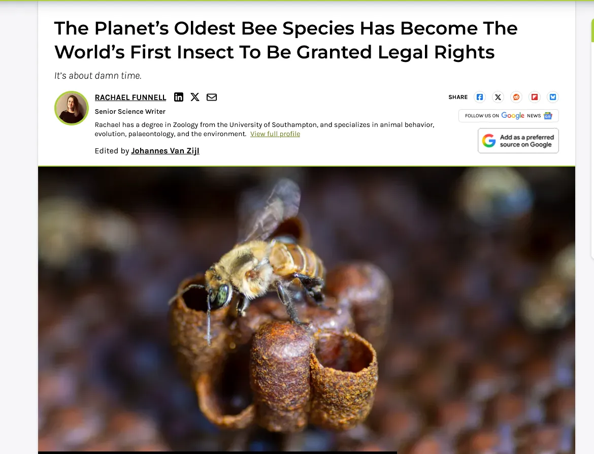 Комахи вперше у світі отримали юридично гарантовані права: де і які