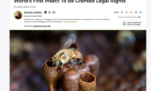 Депутатку парламенту Естонії визнали винною у шахрайстві