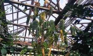 300 будинків у Києві досі залишаються без опалення на тлі дії екстрених графіків відключення світла