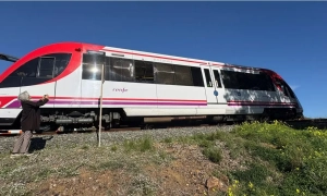 Вчені з Австралії виявили дивовижну властивість отрути гадюк