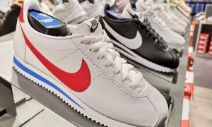 Окупанти на Запоріжжі збудували дамбу, щоб зупинити ЗСУ