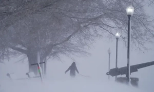 Синоптики оголосили жовтий рівень небезпеки через потужний циклон