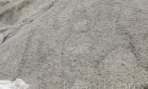 Петиція про мораторій на демонтаж ларьків у Києві набрала необхідну кількість голосів